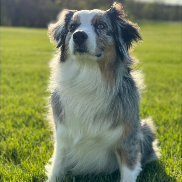 🙏🏽 THANK YOU 🙏🏽 - Picture 3 of 15